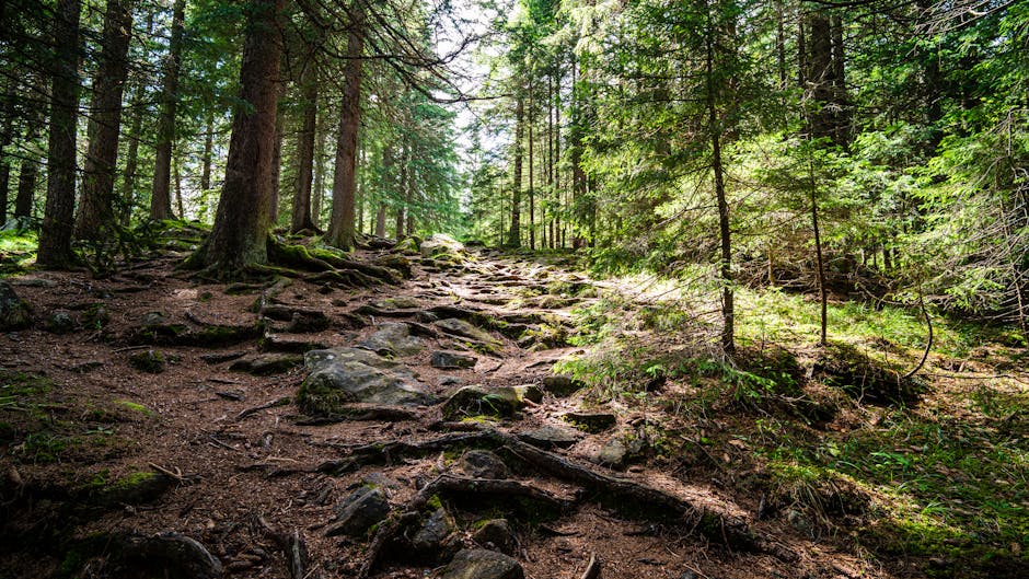 La friluftsliv: la filosofía noruega de vida al aire libre