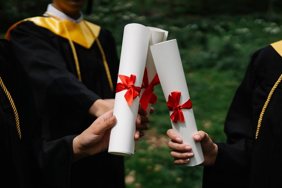 Cómo homologar tu título universitario en Noruega