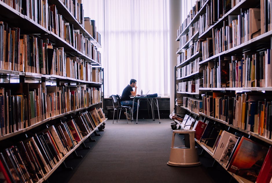 Cómo homologar tu título universitario en Noruega