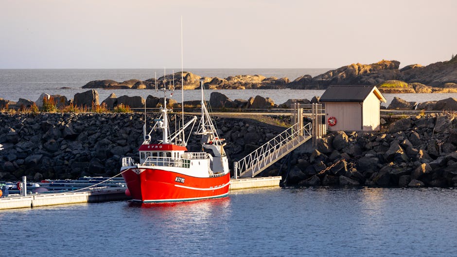 Trabajar en la pesca en Noruega: realidad del sector