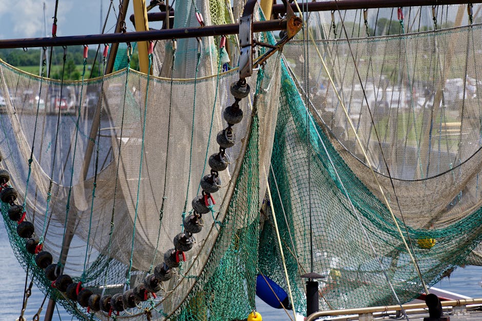 Trabajar en la pesca en Noruega: realidad del sector